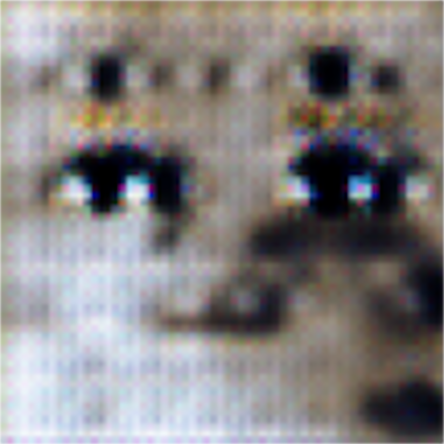 An intermediate result obtained while training a GAN on cat images